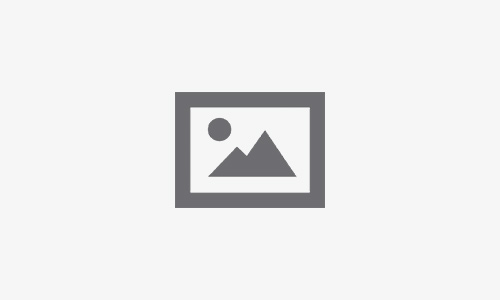 Zoom sur … Les imprimés